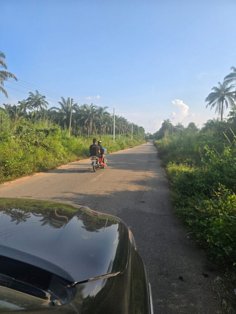 WhatsApp Image 2026-04-02 at 22.16.58