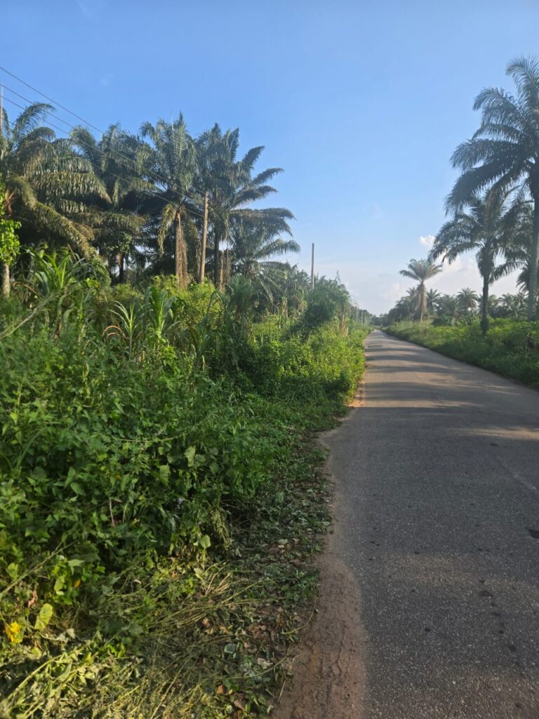 WhatsApp Image 2026-04-02 at 22.16.59