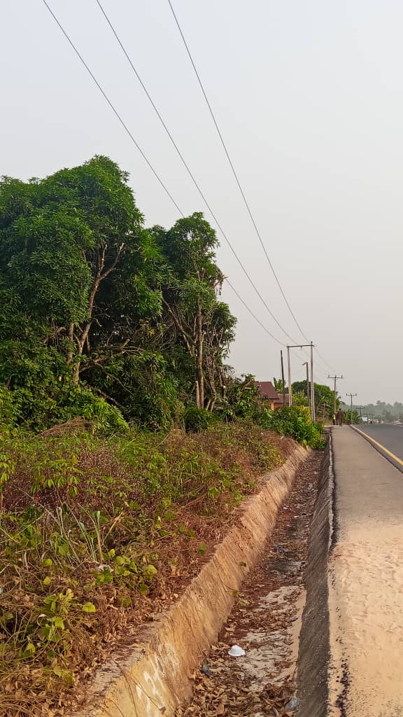 WhatsApp Image 2026-04-02 at 22.19.26